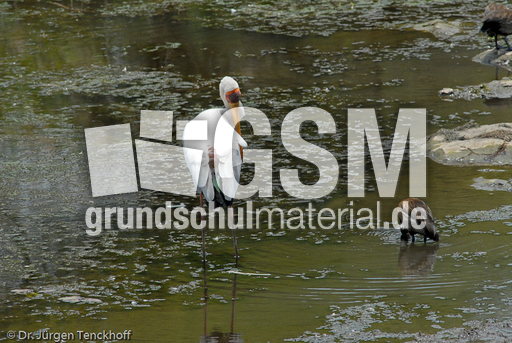 Nimmersatt (1 von 22).jpg